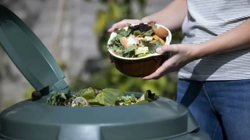 Harnessing Household Organic Waste for a Thriving Garden A Comprehensive Guide