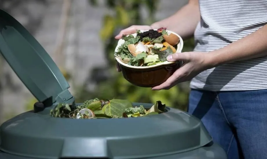 Harnessing Household Organic Waste for a Thriving Garden: A Comprehensive Guide