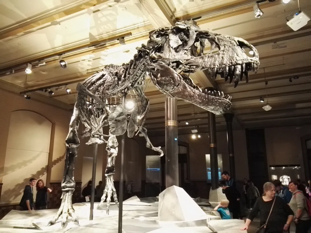 Dinosaurs in European Museums: A Journey Through Time